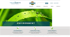 Desktop Screenshot of consulttruenorth.com